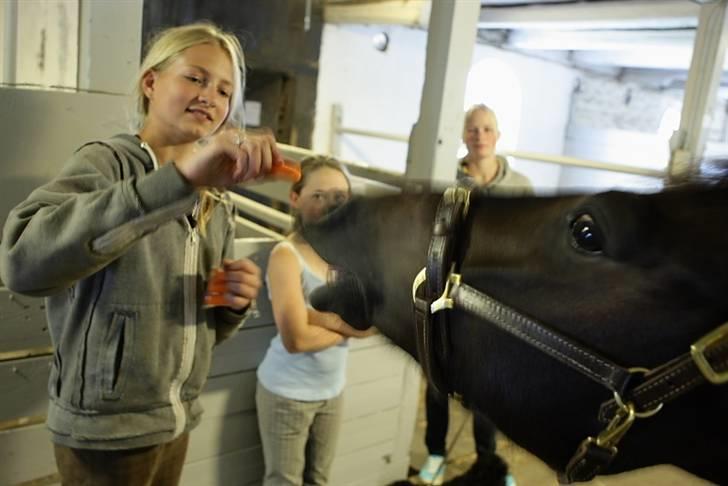 VIKTOR, FOTOGRAF : KARIN RØNNEBÆK.  billede 17