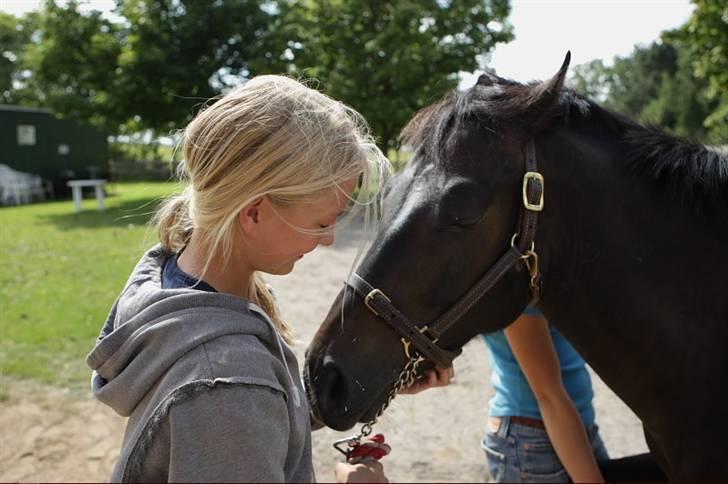 VIKTOR, FOTOGRAF : KARIN RØNNEBÆK.  billede 18