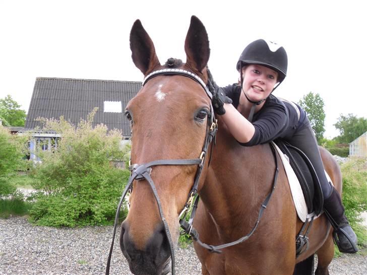 Nickey dullet op (:  billede 2