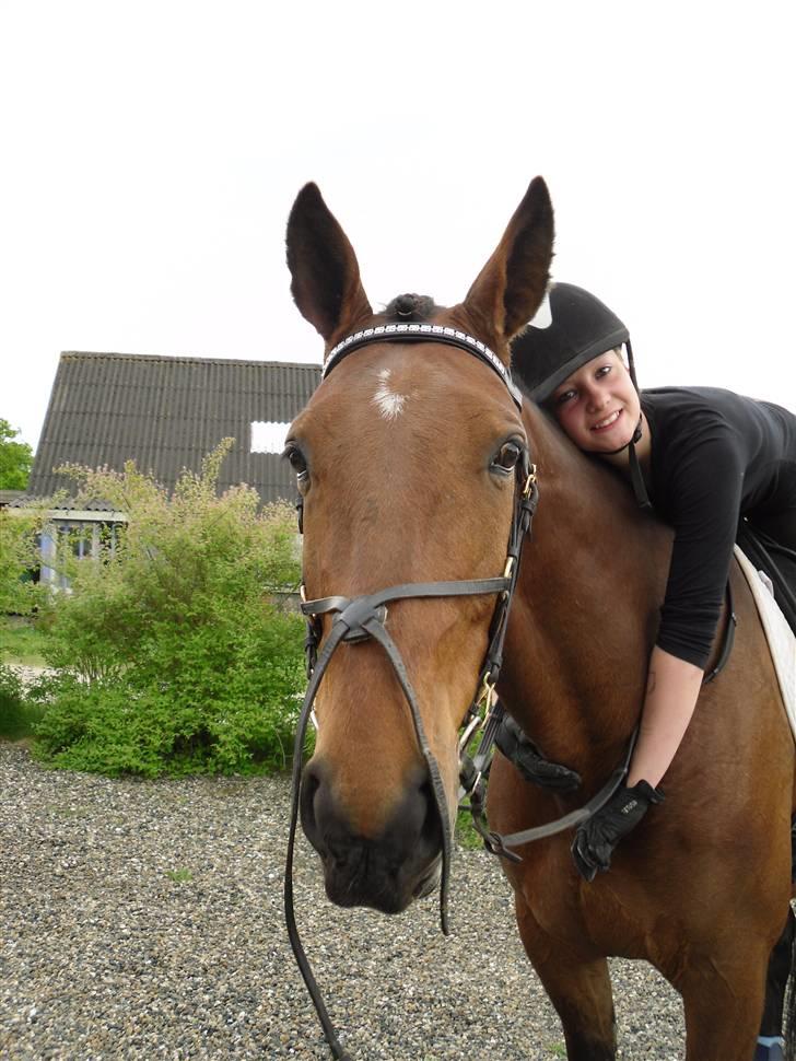 Nickey dullet op (:  billede 3