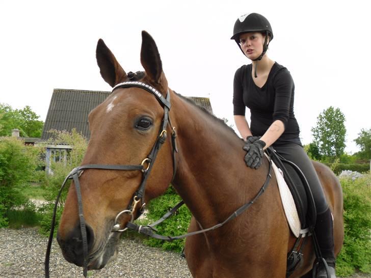 Nickey dullet op (:  billede 5