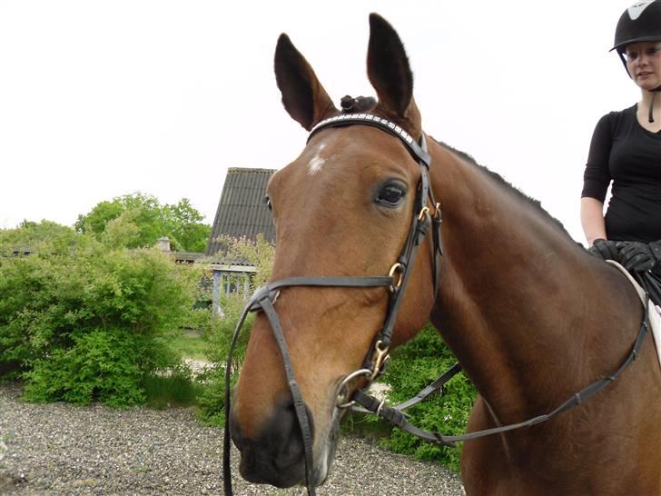 Nickey dullet op (:  billede 6