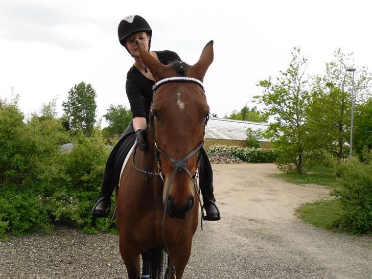 Nickey dullet op (:  billede 7