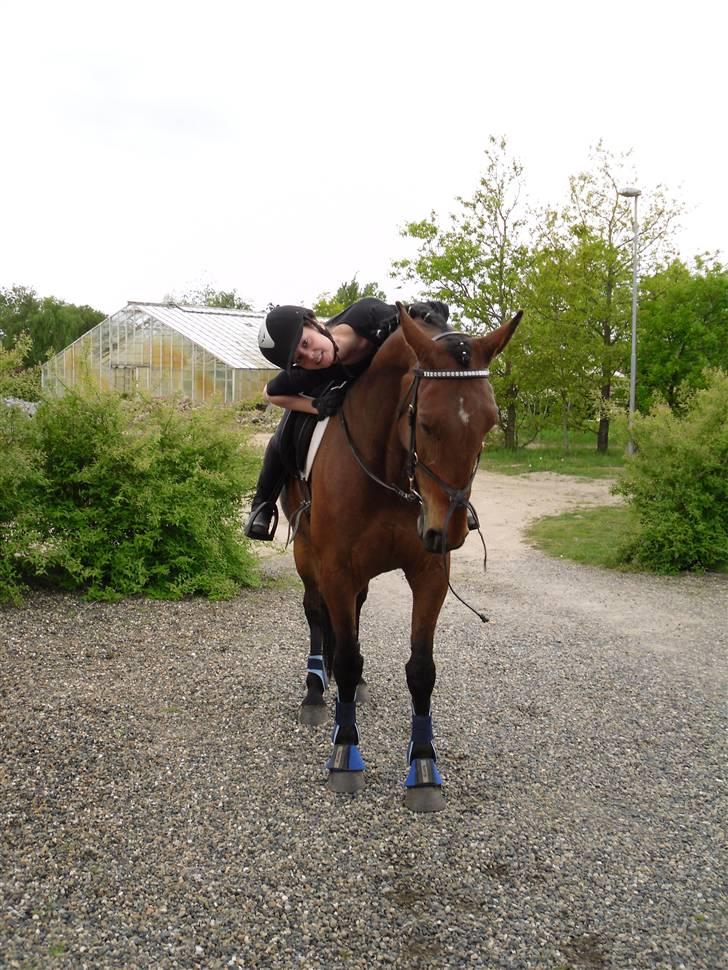 Nickey dullet op (:  billede 8