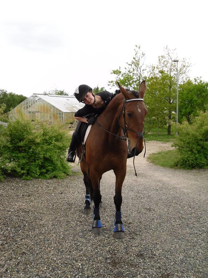 Nickey dullet op (:  billede 9