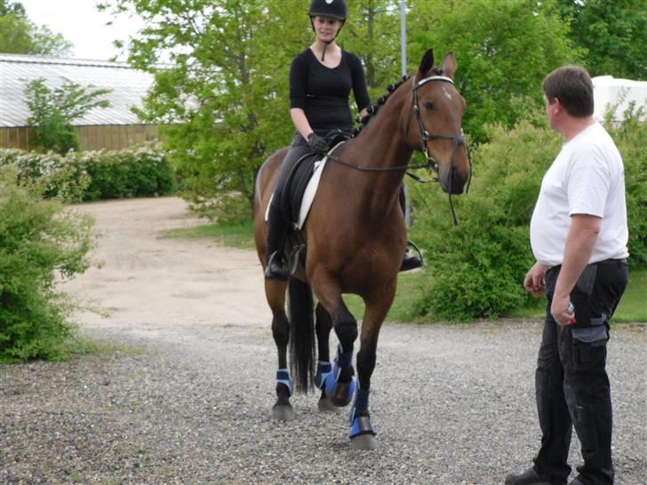 Nickey dullet op (:  billede 10