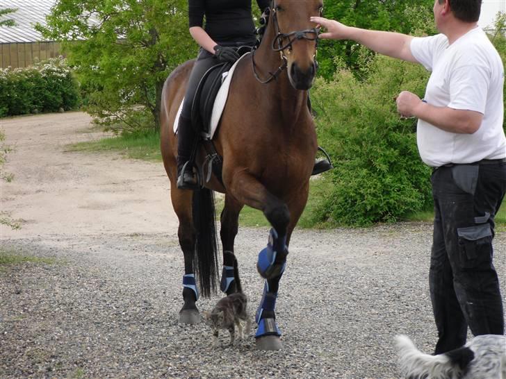 Nickey dullet op (:  billede 11