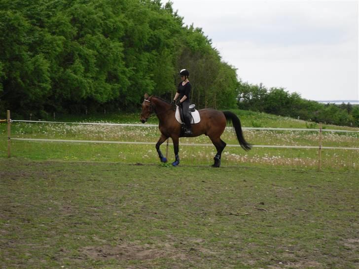 Nickey dullet op (:  billede 12