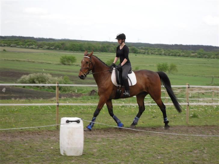 Nickey dullet op (:  billede 13