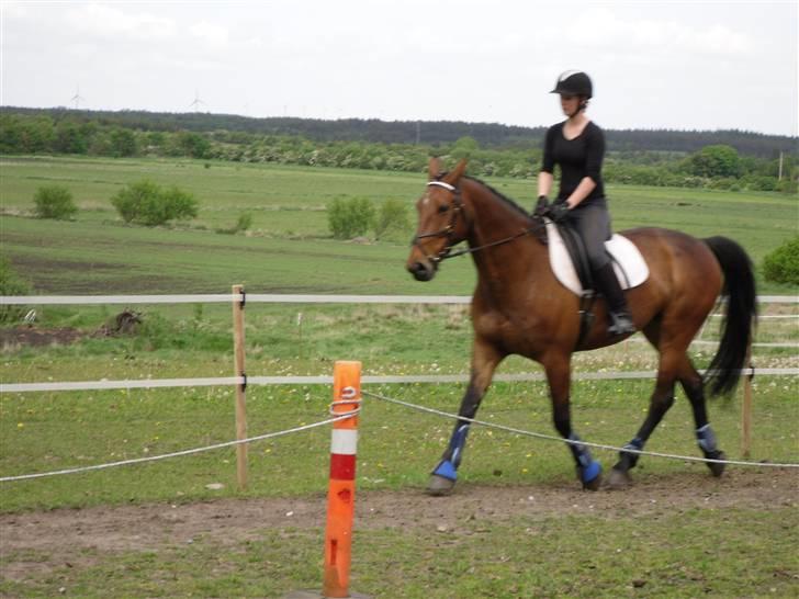 Nickey dullet op (:  billede 14