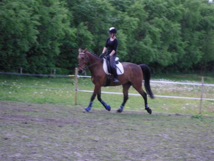 Nickey dullet op (:  billede 15