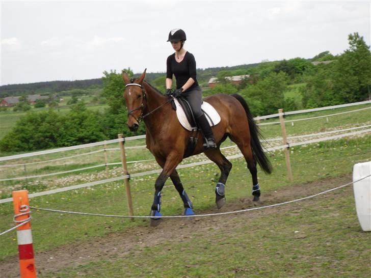 Nickey dullet op (:  billede 16