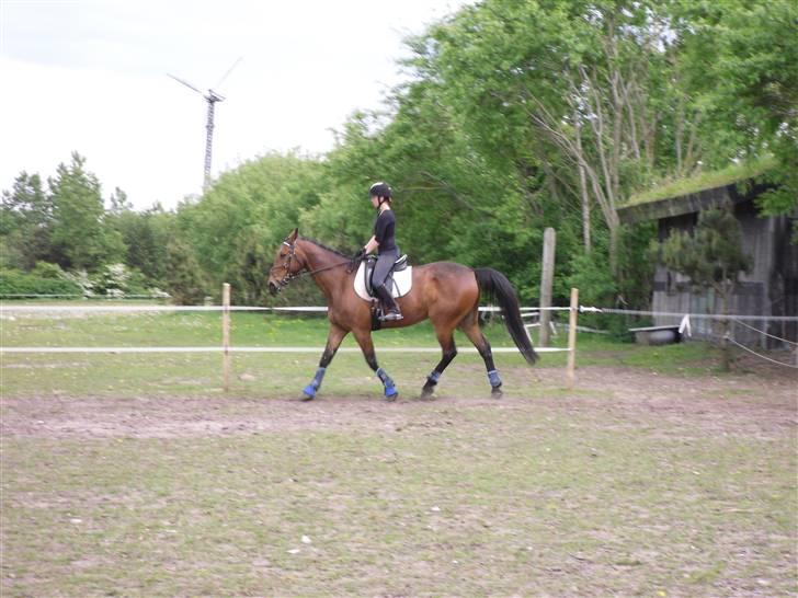 Nickey dullet op (:  billede 17