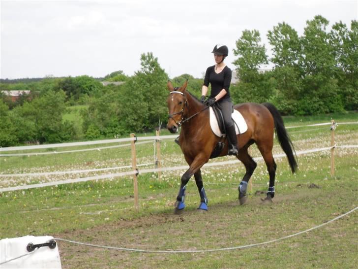 Nickey dullet op (:  billede 18