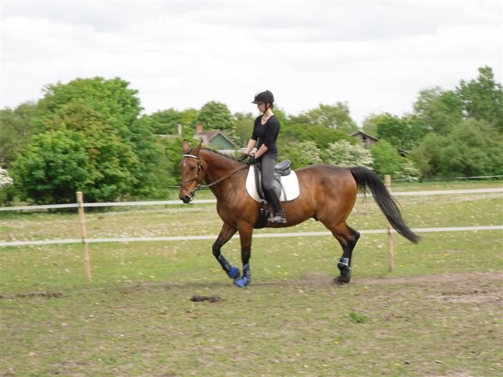 Nickey dullet op (:  billede 19