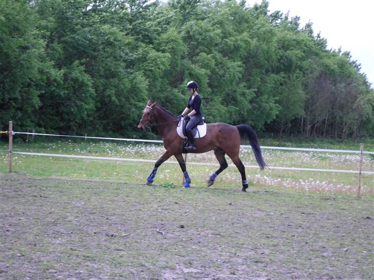 Nickey dullet op (:  billede 20