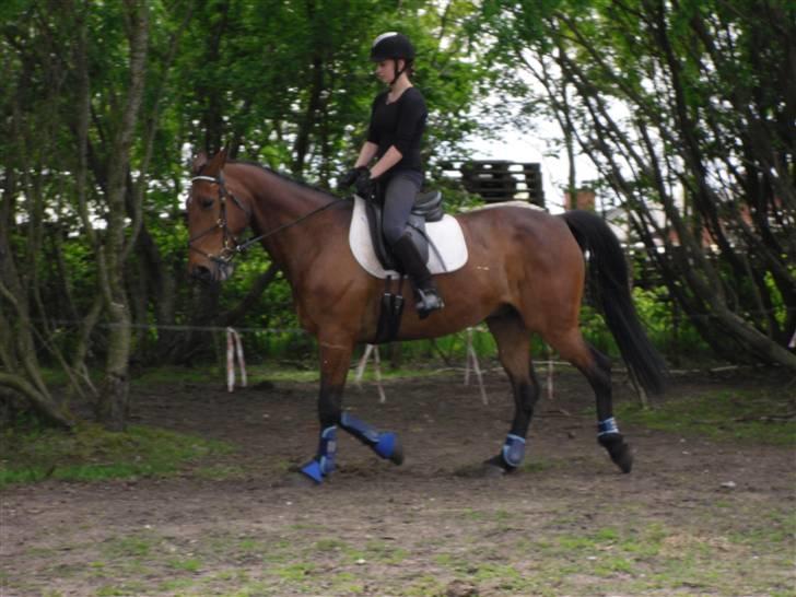 Nickey dullet op (:  billede 21