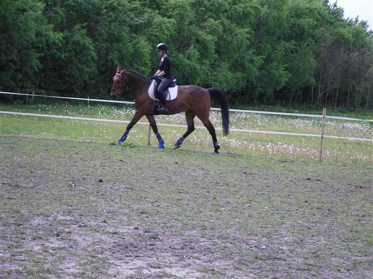 Nickey dullet op (:  billede 22