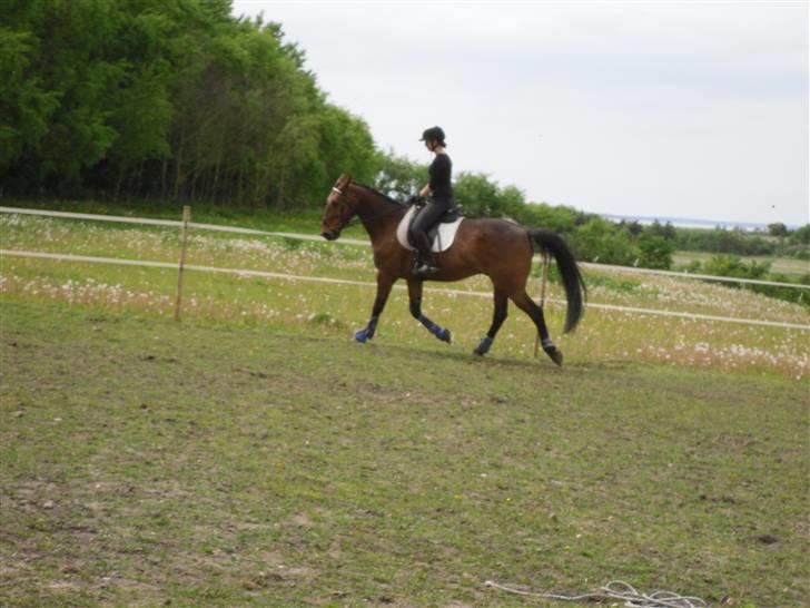 Nickey dullet op (:  billede 23