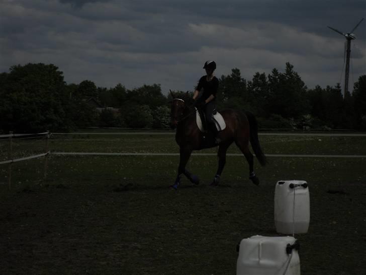 Nickey dullet op (:  billede 24