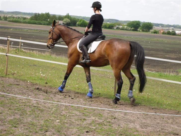 Nickey dullet op (:  billede 25