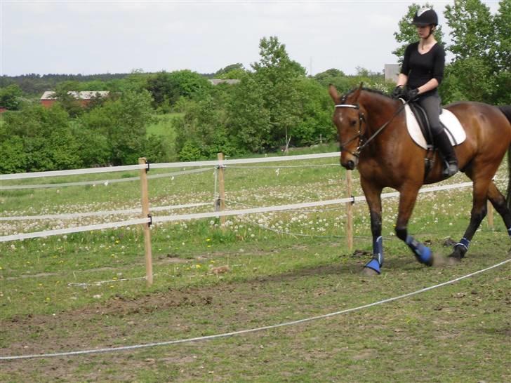 Nickey dullet op (:  billede 26