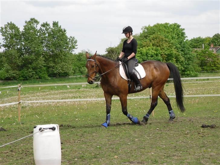 Nickey dullet op (:  billede 27