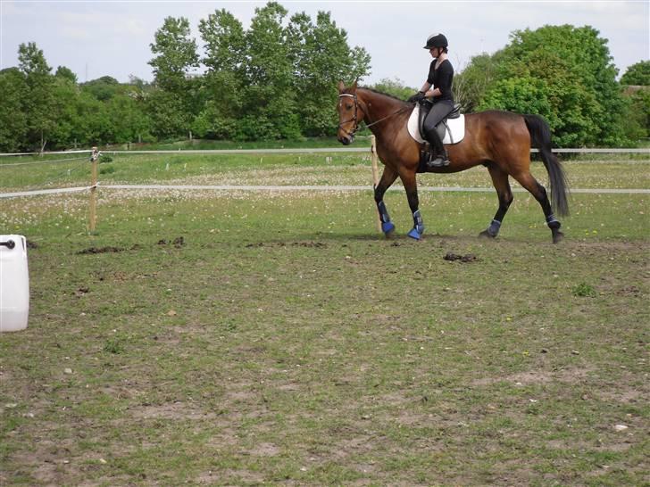 Nickey dullet op (:  billede 28