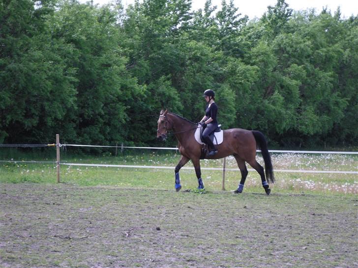 Nickey dullet op (:  billede 29