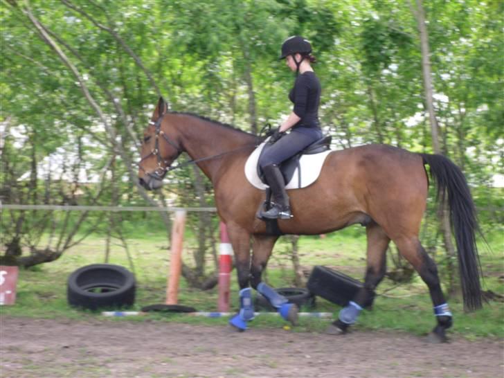 Nickey dullet op (:  billede 30