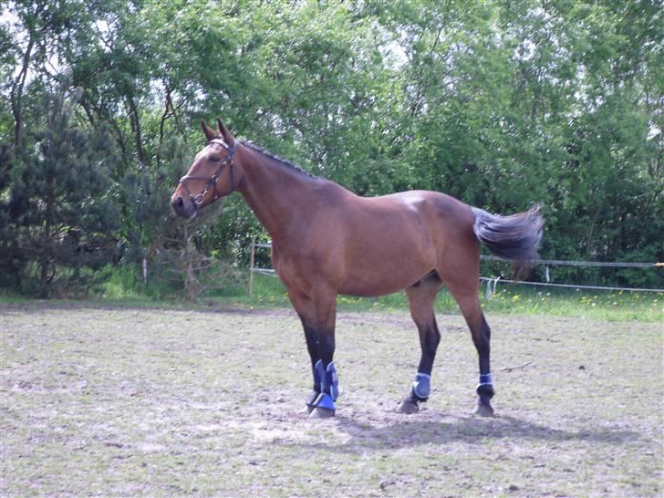 Nickey dullet op (:  billede 31