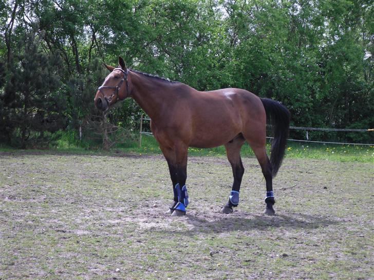 Nickey dullet op (:  billede 32