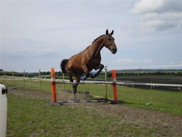 Nickey dullet op (:  billede 33