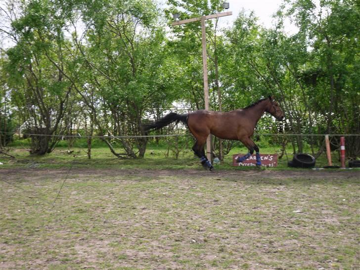 Nickey dullet op (:  billede 34