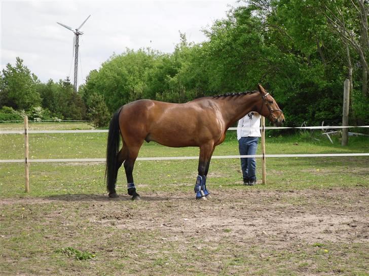 Nickey dullet op (:  billede 35