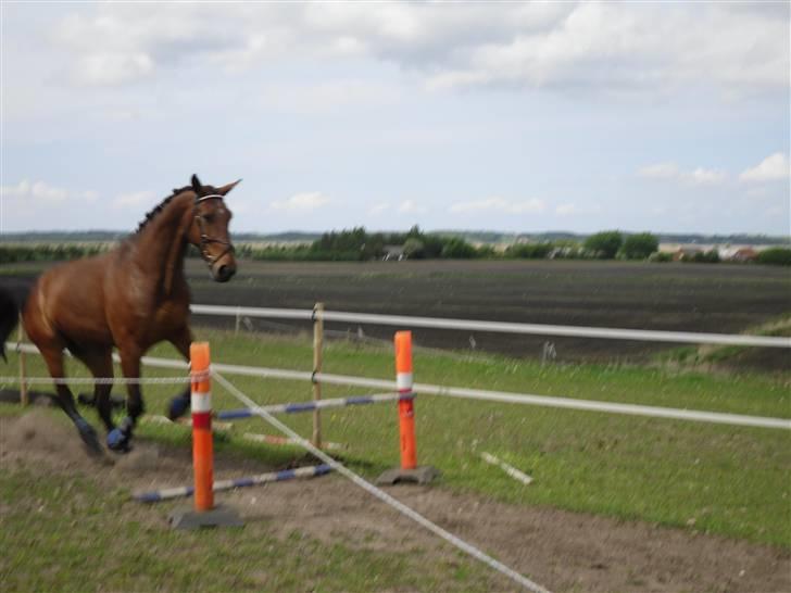 Nickey dullet op (:  billede 36