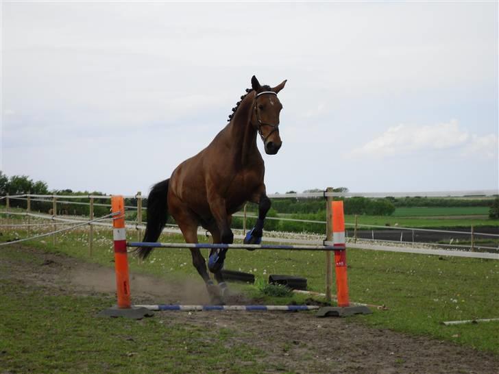 Nickey dullet op (:  billede 37