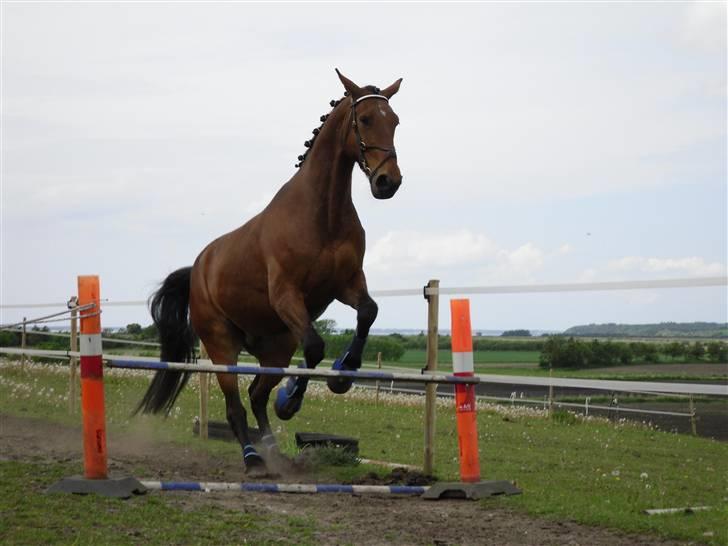 Nickey dullet op (:  billede 38