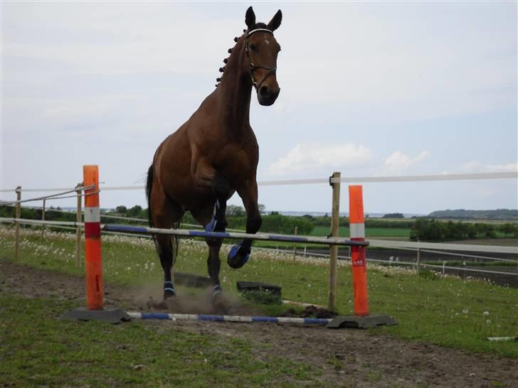 Nickey dullet op (:  billede 39