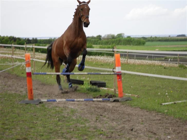 Nickey dullet op (:  billede 40
