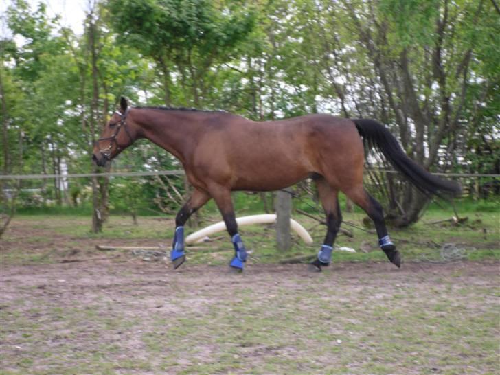 Nickey dullet op (:  billede 41