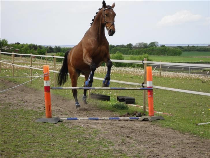 Nickey dullet op (:  billede 42