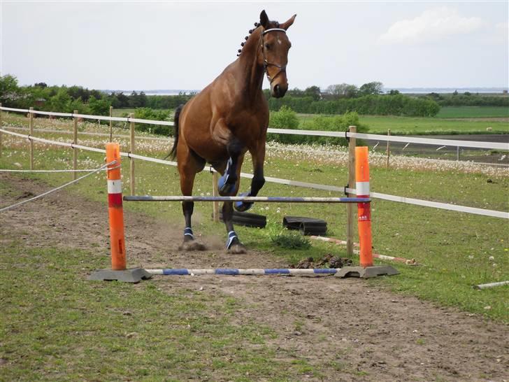 Nickey dullet op (:  billede 43