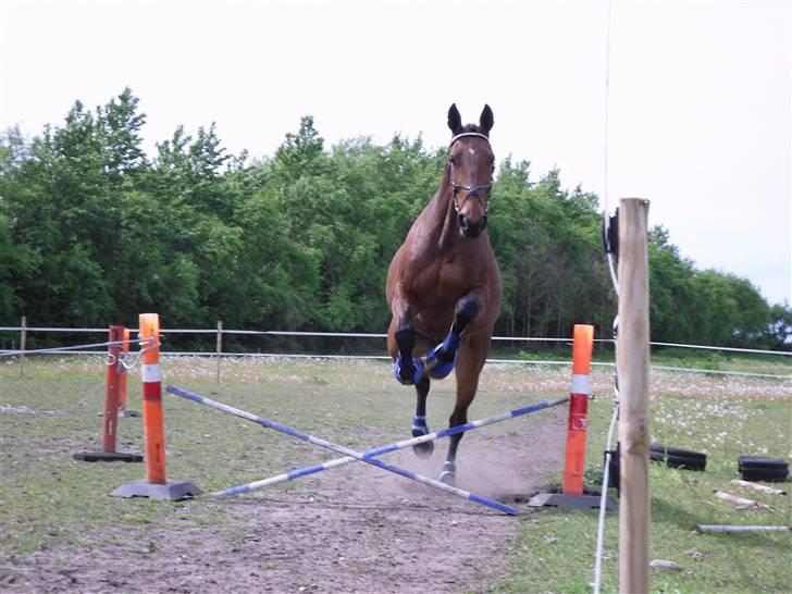 Nickey dullet op (:  billede 44