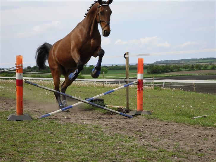 Nickey dullet op (:  billede 45