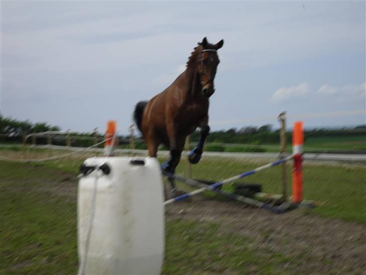 Nickey dullet op (:  billede 46