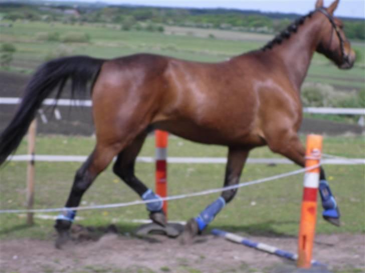 Nickey dullet op (:  billede 47