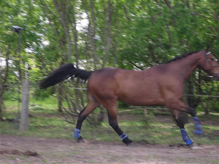 Nickey dullet op (:  billede 48