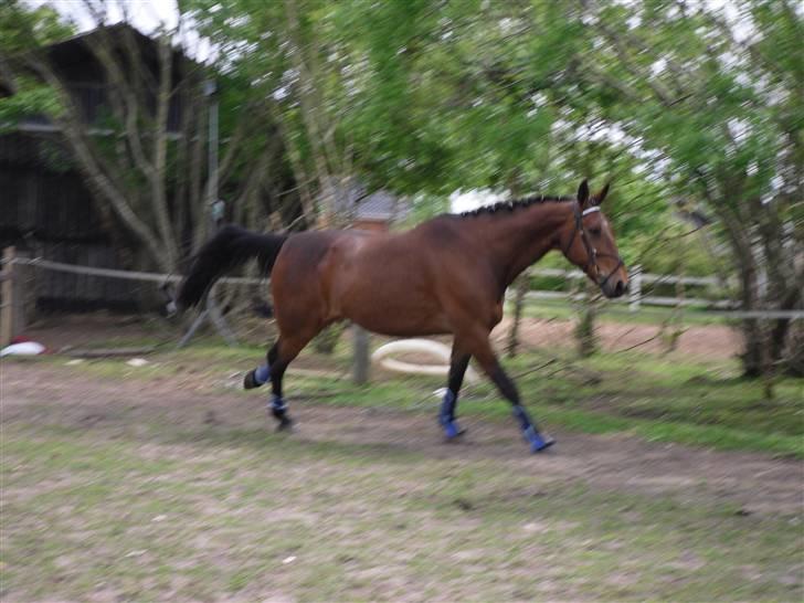 Nickey dullet op (:  billede 50