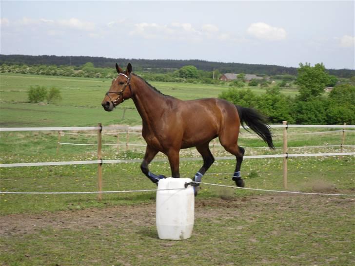 Nickey dullet op (:  billede 51